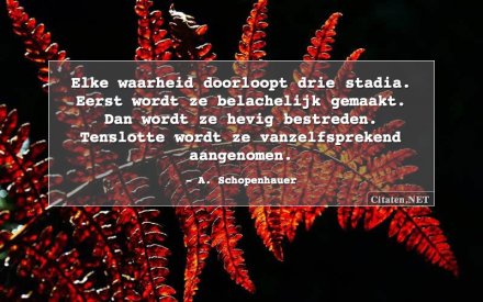 schopenhauer-elke-waarheid-doorloopt-drie-stadia-eerst-wordt.jpg