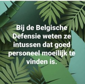 belgie.jpeg