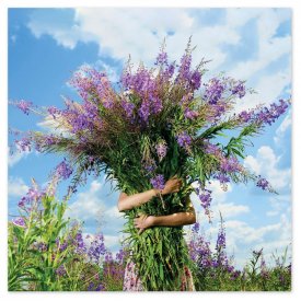 wenskaart-dikke-bos-bloemen-dk30.jpg