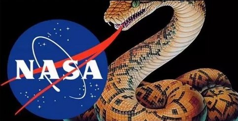 nasasnake.jpg