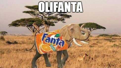 Olifanta.jpg