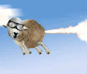 schaap-gifs-G7oMFg.gif