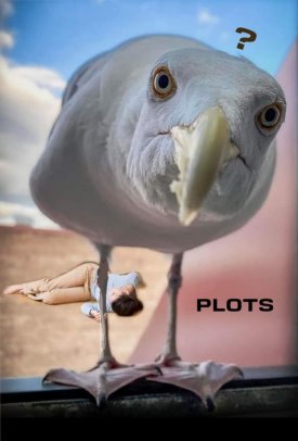 plots.jpg