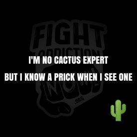 cactus.jpg