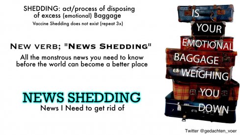 NEWS SHEDDING.jpg