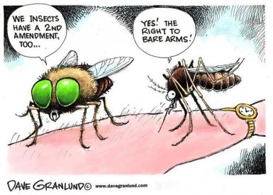 mosquitos 2nd amendment.jpg