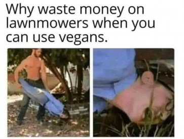 vegans.jpg