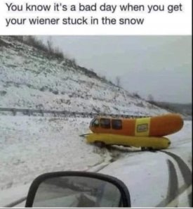 wiener.jpg