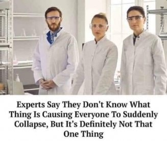 experts.jpg