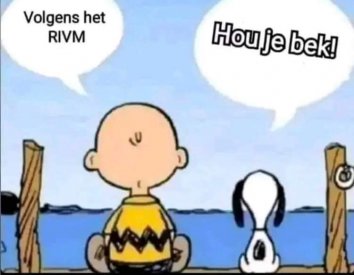 rivm.jpg