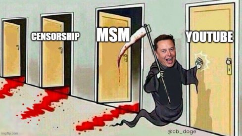 elon.jpg