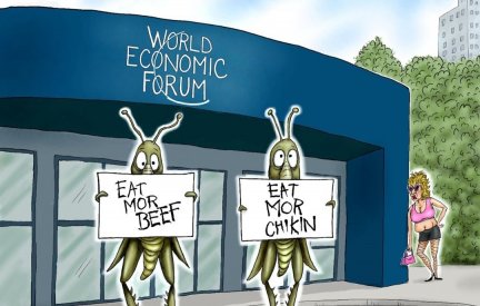 wef.jpg