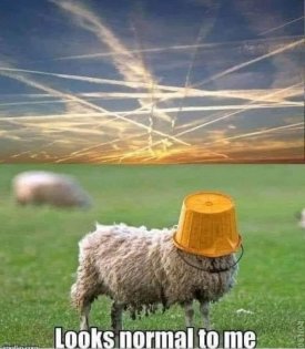 chemtrails.jpg