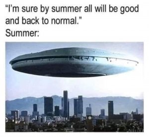 summer.jpg