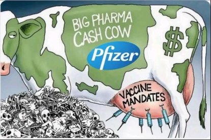 pfizer.jpg