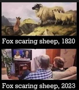 FOX1.jpg