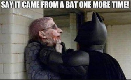 bat .jpg