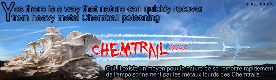 banner chemtrails padestoelen.jpg