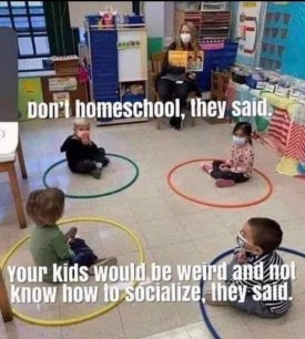 homeschool.jpeg